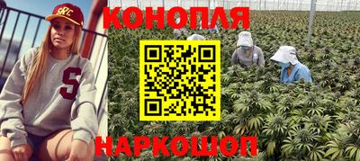 стаф Краснокаменск