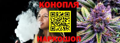 индика Краснознаменск