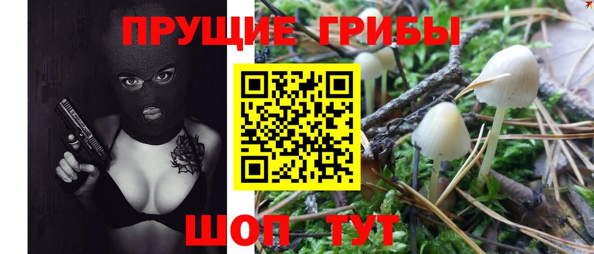 Галлюциногенные грибы GOLDEN TEACHER Ялта